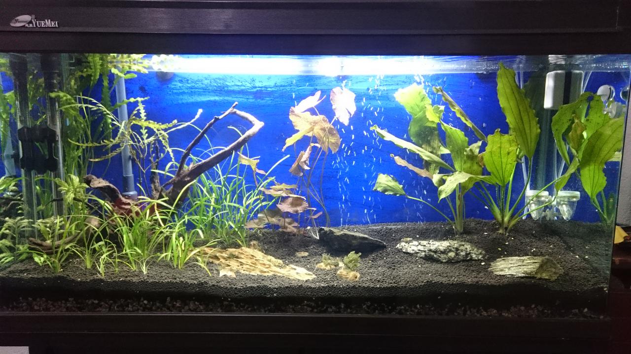  Начать новую тему