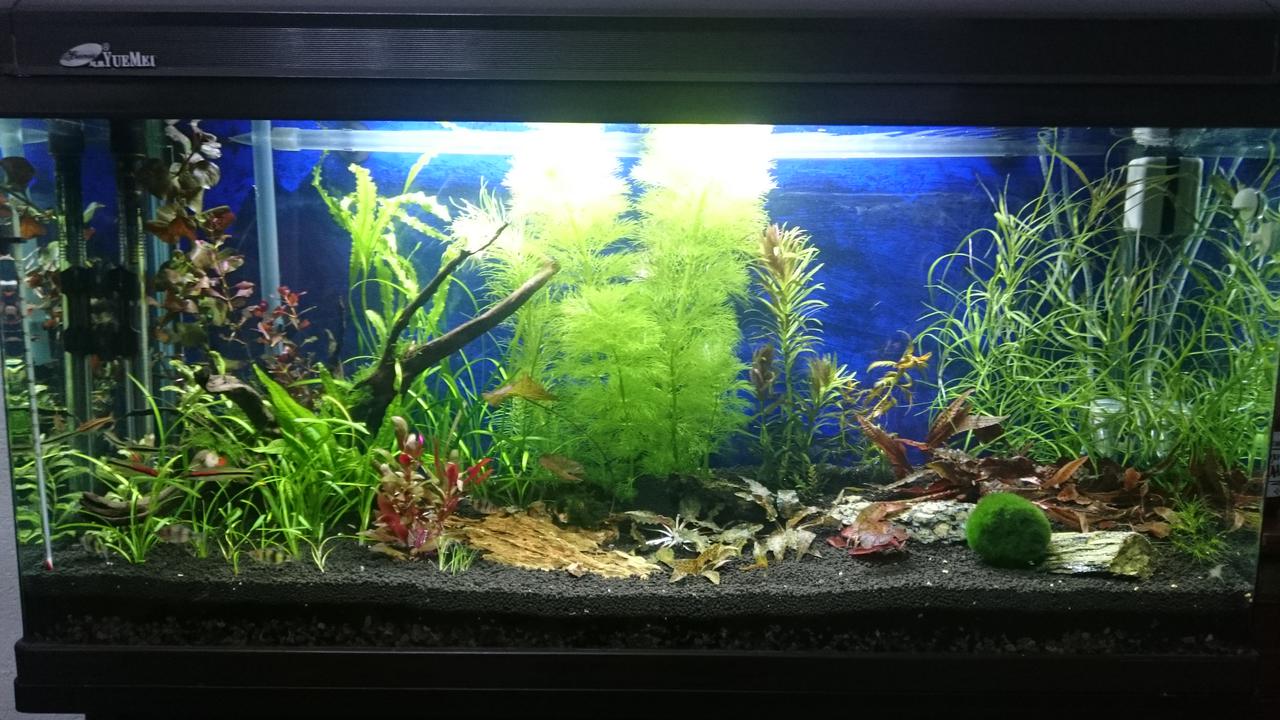  Начать новую тему