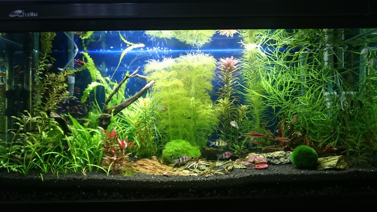  Начать новую тему