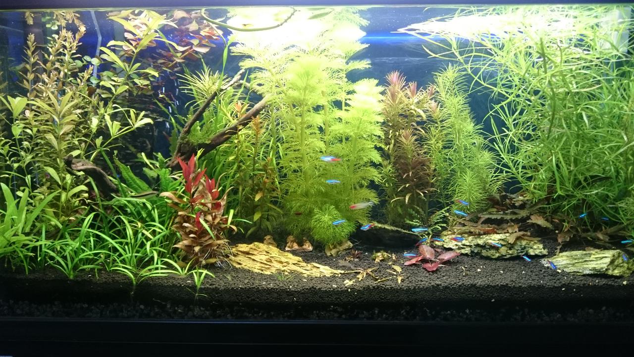  Начать новую тему