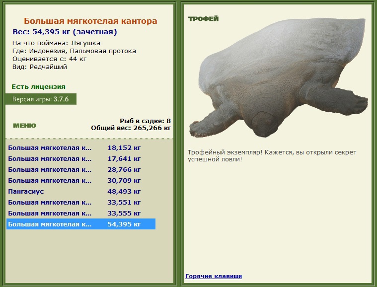 Лягушка 