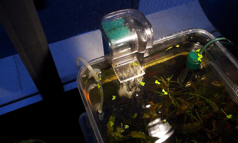  Начать новую тему