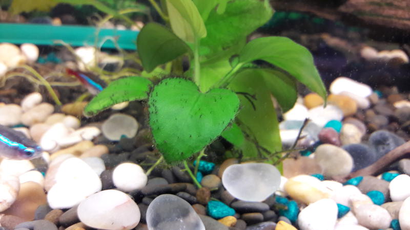  Начать новую тему