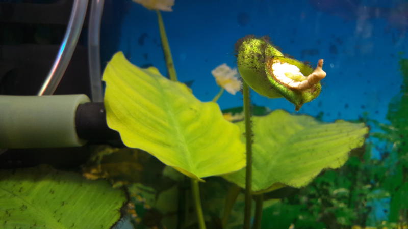  Начать новую тему