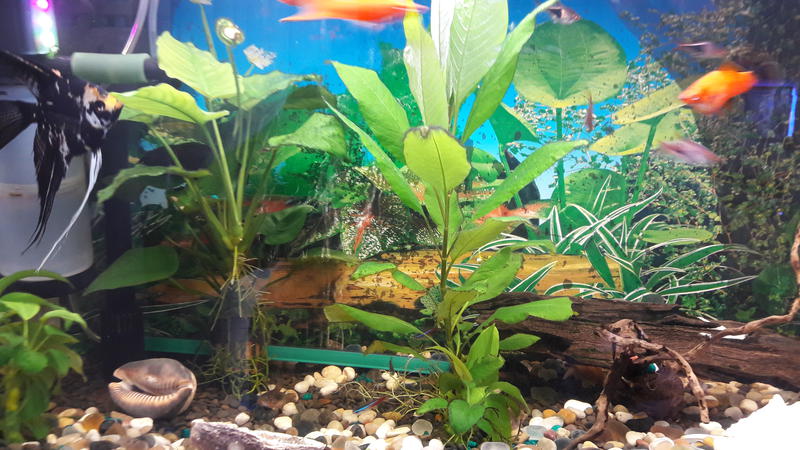  Начать новую тему