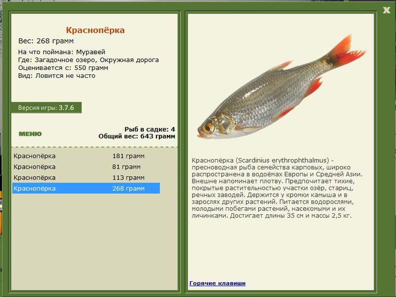 РУССКАЯ РЫБАЛКА Installsoft Edition 