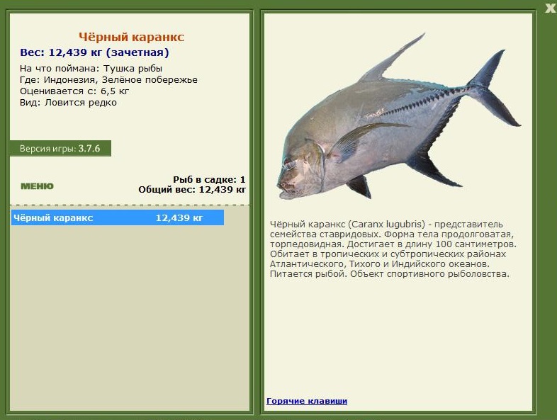 Чёрный каранкс 