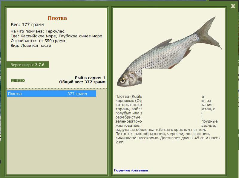 РУССКАЯ РЫБАЛКА Installsoft Edition 