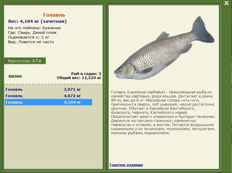 РУССКАЯ РЫБАЛКА Installsoft Edition 