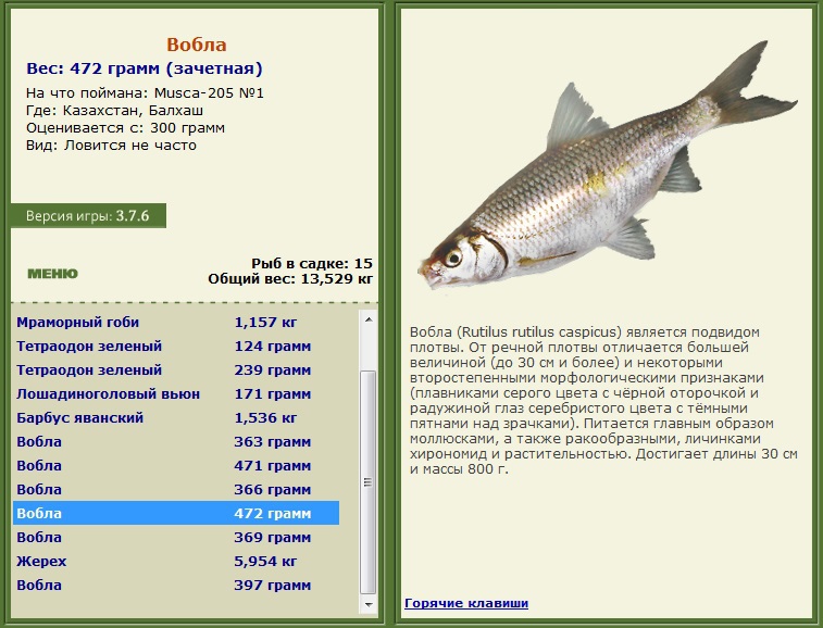 РУССКАЯ РЫБАЛКА Installsoft Edition 