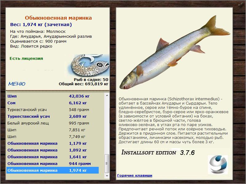 Амударьинский разлив 
