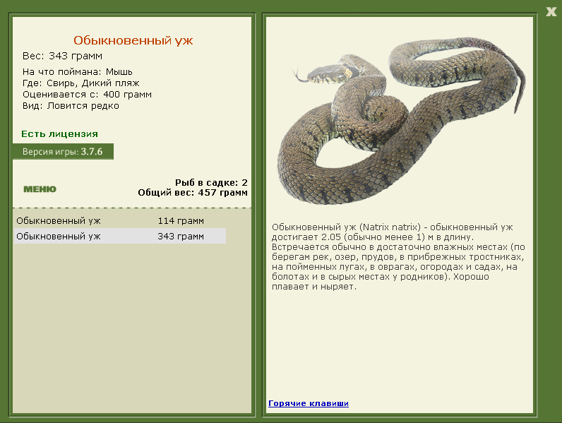 Дикий пляж 