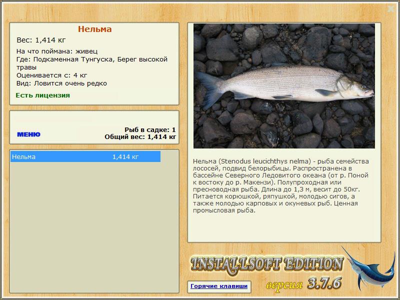 Берег высокой травы 
