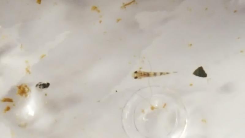  Начать новую тему