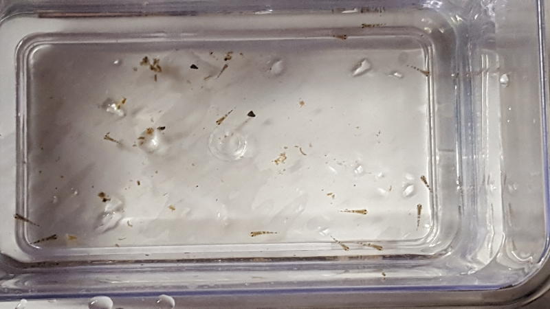  Начать новую тему