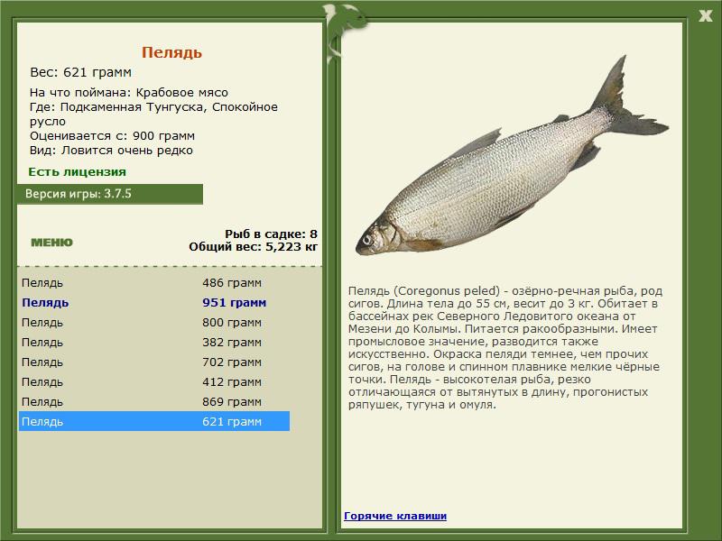 РУССКАЯ РЫБАЛКА Installsoft Edition 
