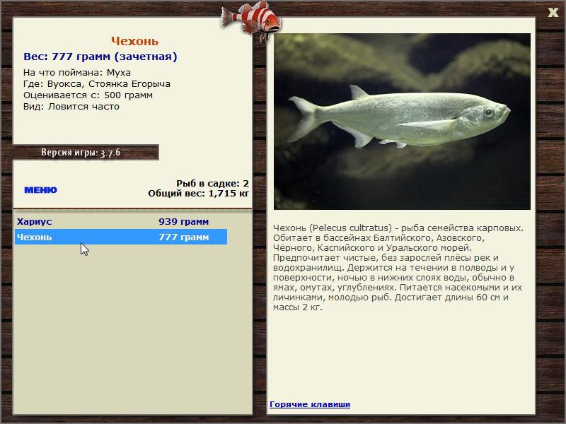 турниры • РУССКАЯ РЫБАЛКА