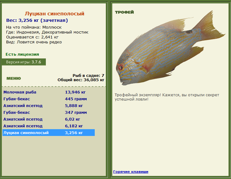 Моллюск 