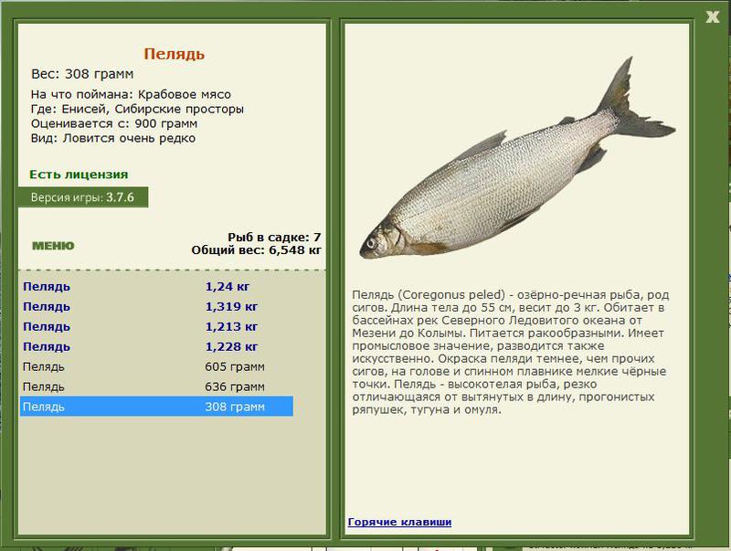 РУССКАЯ РЫБАЛКА Installsoft Edition 