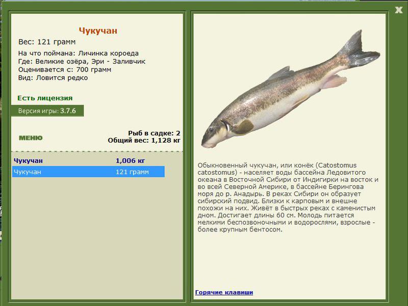 РУССКАЯ РЫБАЛКА Installsoft Edition 