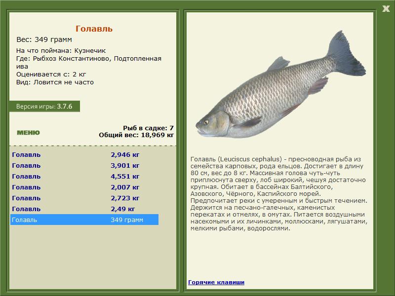 Подтопленная ива 