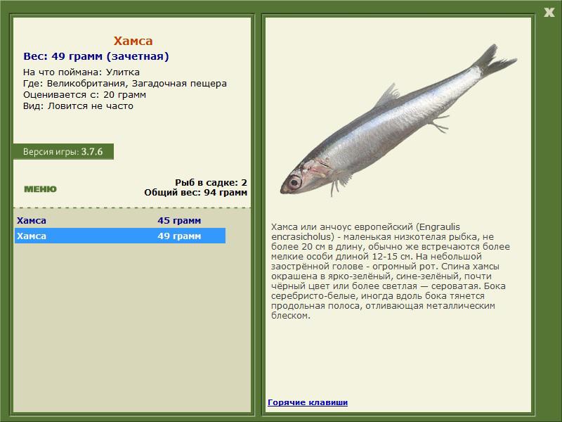 Заявки на рекорд 