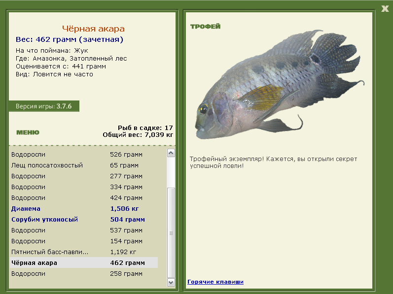 Чёрная акара 