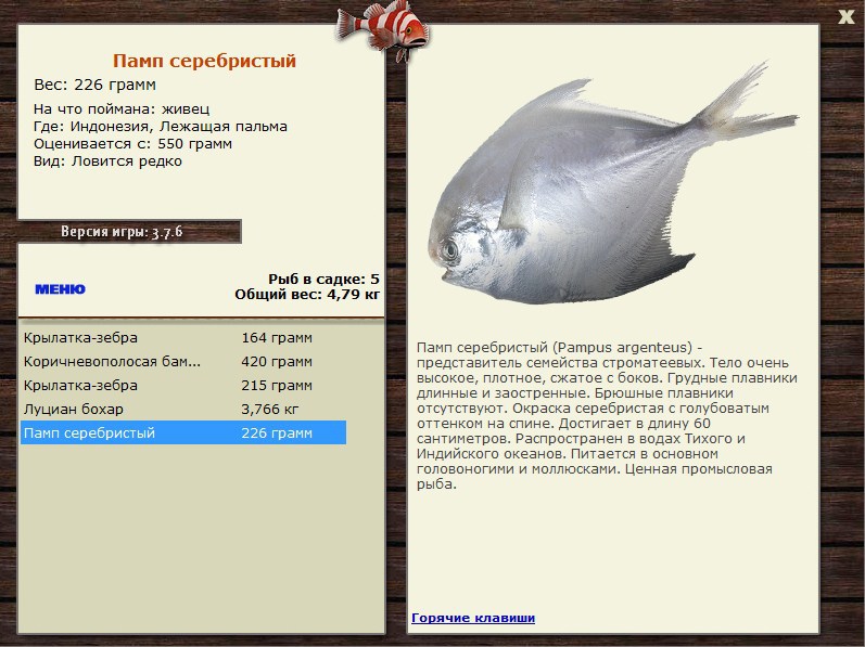 Заявки на рекорд 