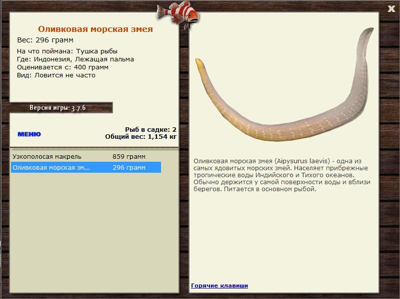 Заявки на рекорд 