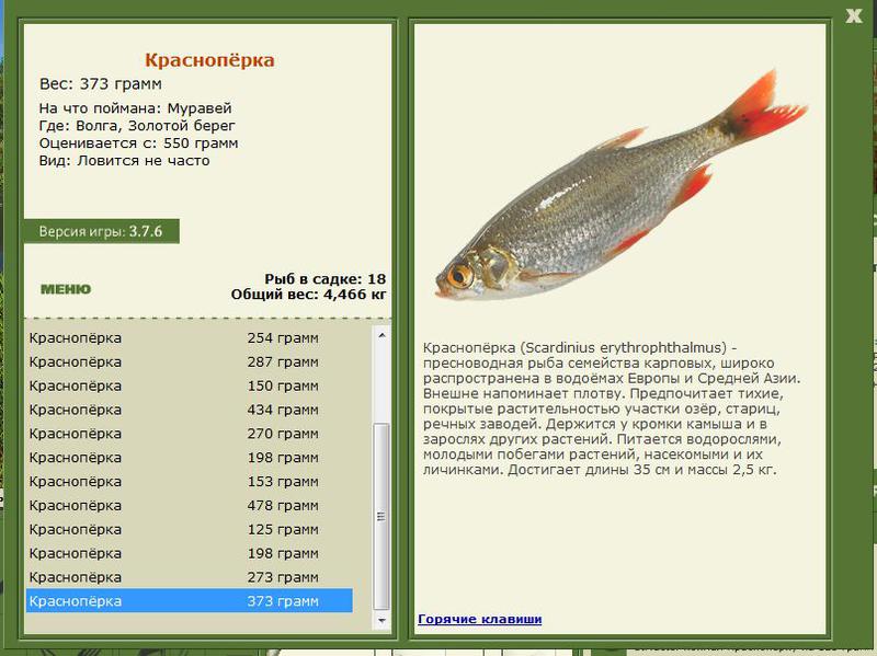 РУССКАЯ РЫБАЛКА Installsoft Edition 