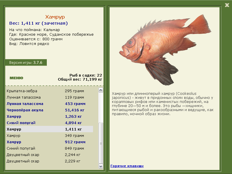 Красное море 