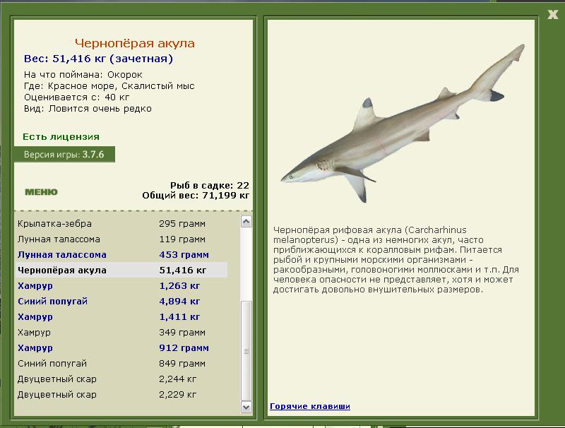 Красное море 