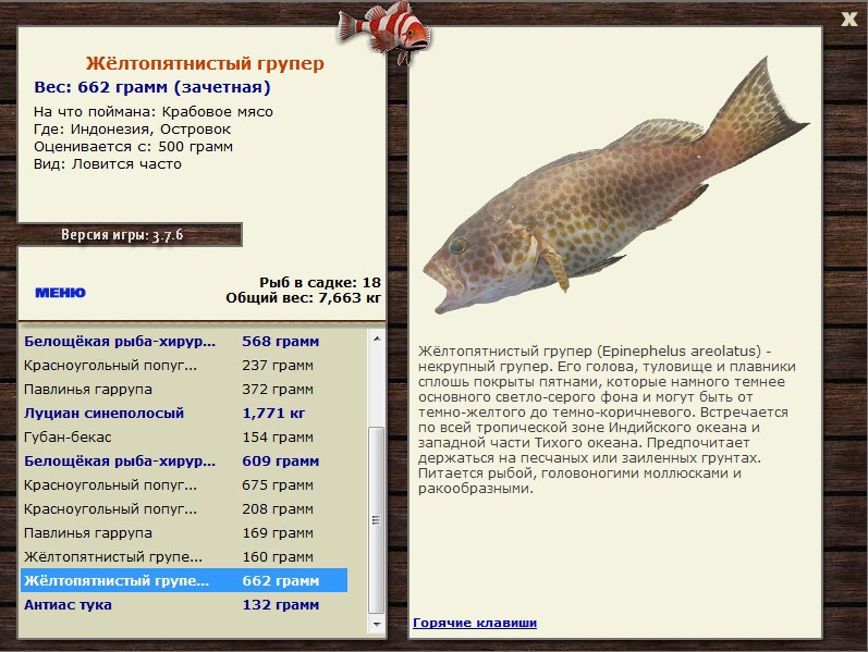 Заявки на рекорд 