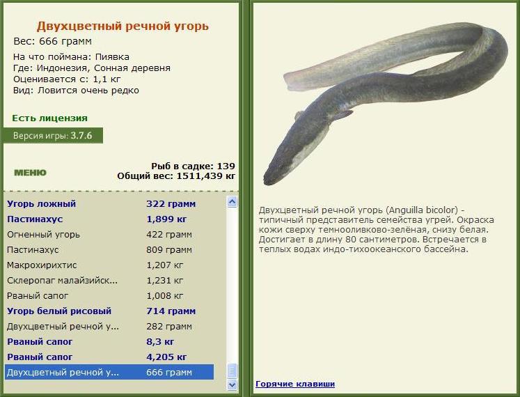 турниры • РУССКАЯ РЫБАЛКА