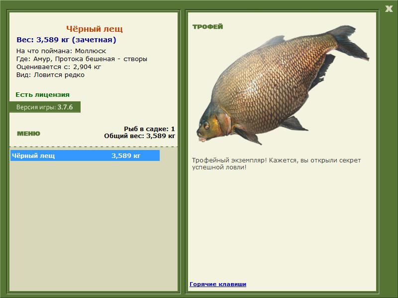  створы • Амур • РУССКАЯ РЫБАЛКА