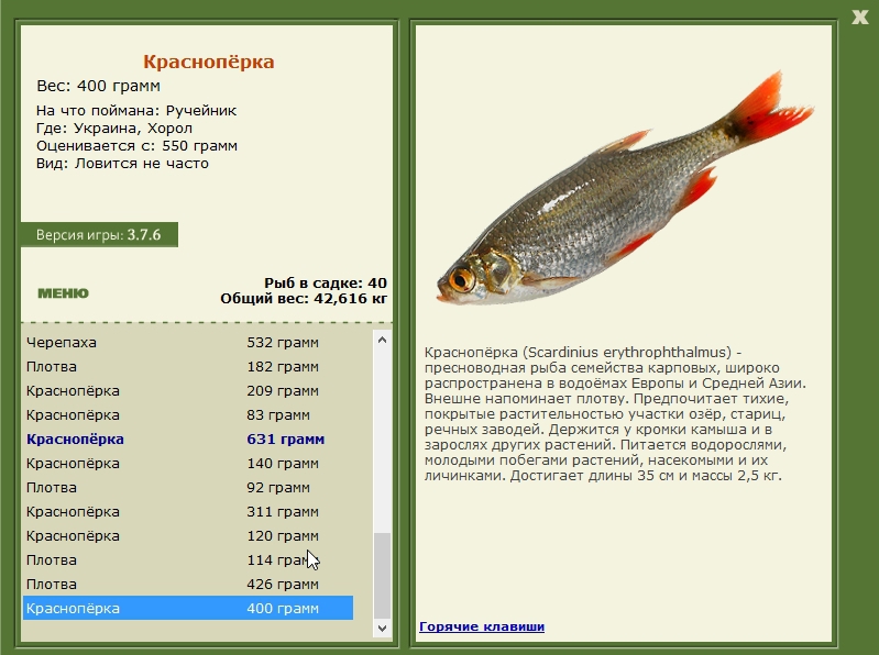 Хорол 