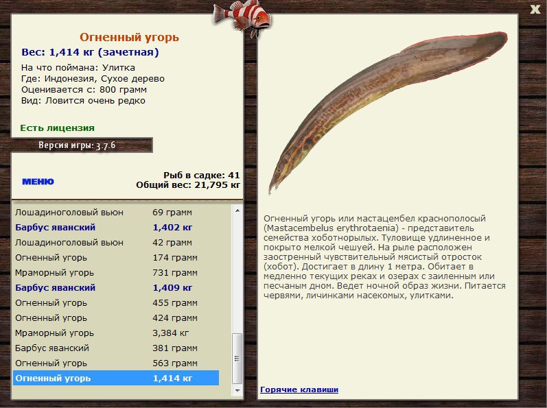 Заявки на рекорд 