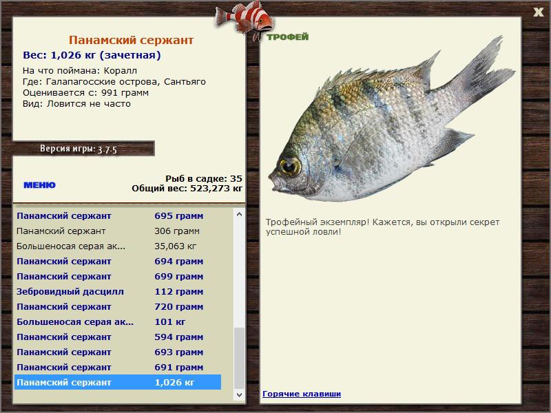 РУССКАЯ РЫБАЛКА Installsoft Edition 
