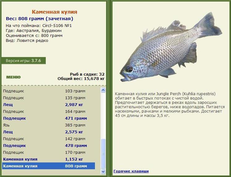 Бурдекин 