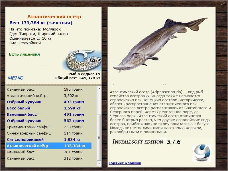 Широкий залив 