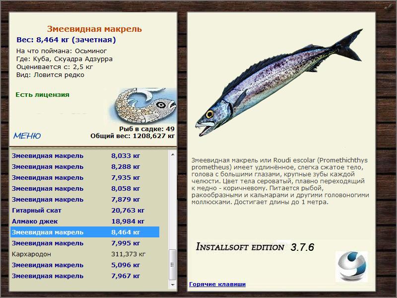 Скуадра Адзурра 