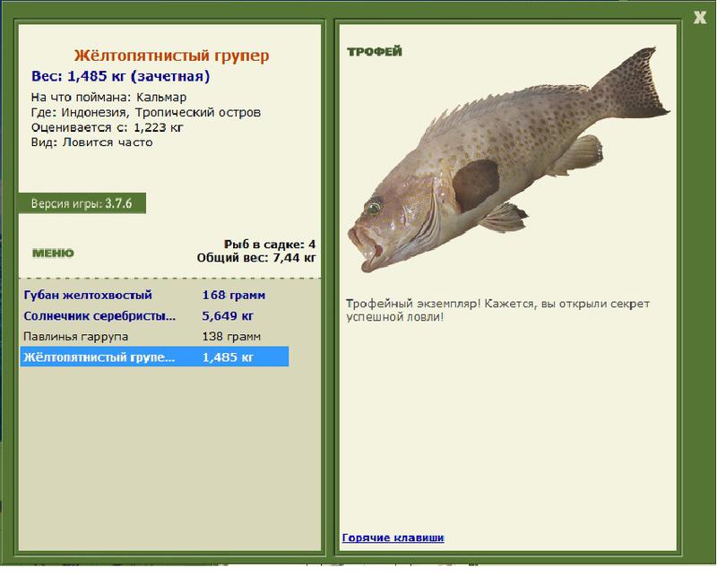 Заявки на рекорд 