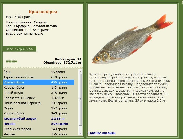 РУССКАЯ РЫБАЛКА Installsoft Edition 