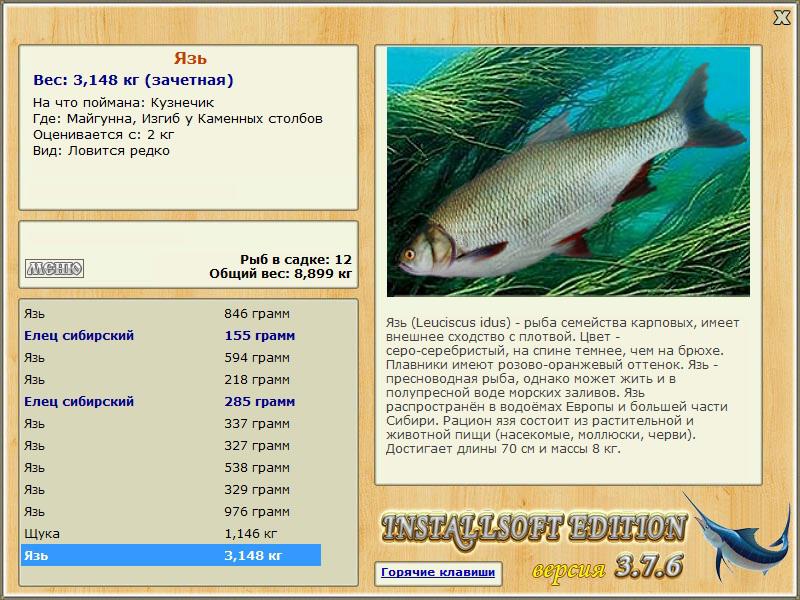 Изгиб у Каменных столбов 