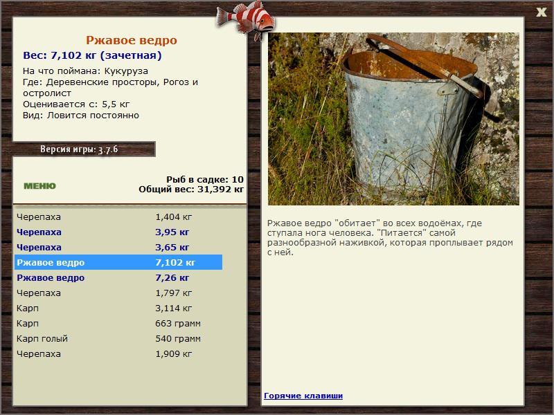 Ржавое ведро 