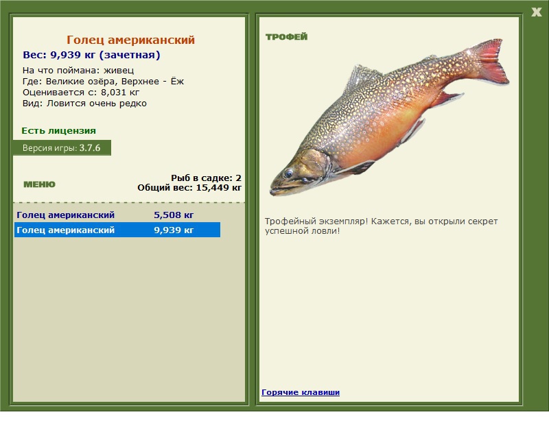 Голец американский 