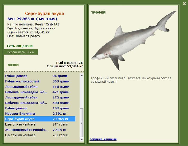 Заявки на рекорд 