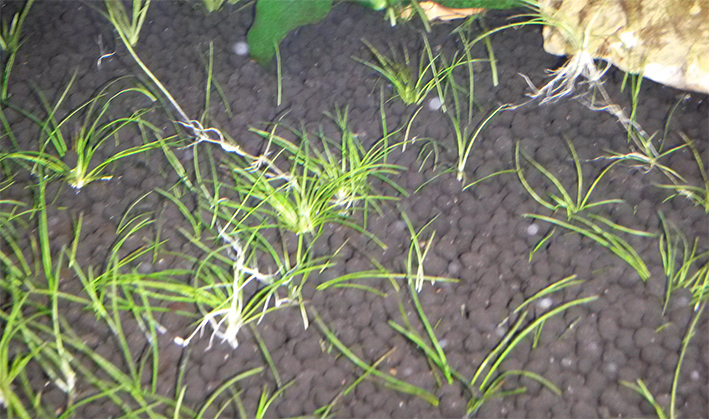  Начать новую тему