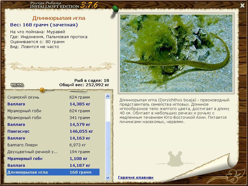 Заявки на рекорд 