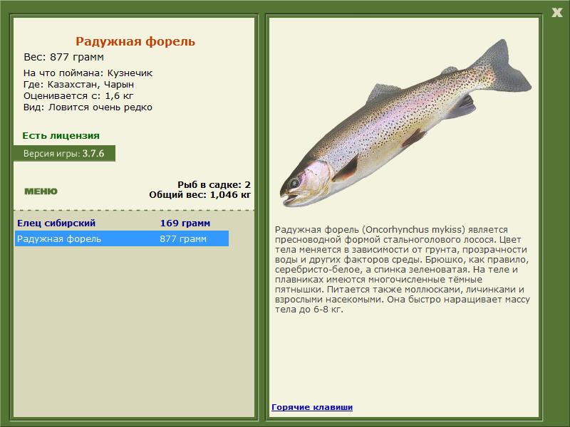 Чарын 